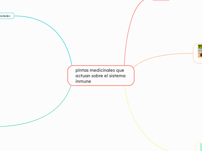 plntas medicinales que actuan sobre el ...- Mapa Mental