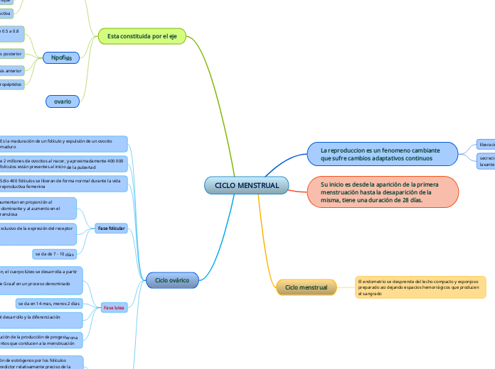 CICLO MENSTRUAL - Mapa Mental