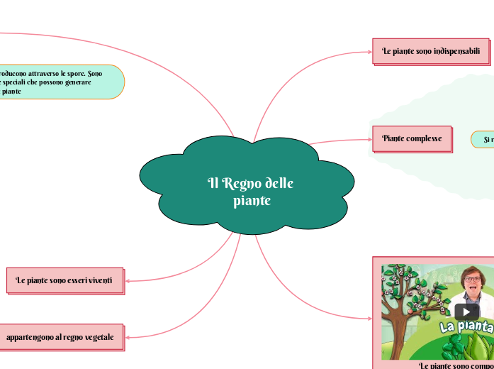 Il Regno delle piante - Mappa Mentale
