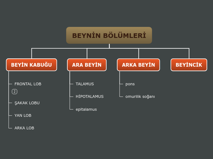 BEYNİN BÖLÜMLERİ - Mind Map