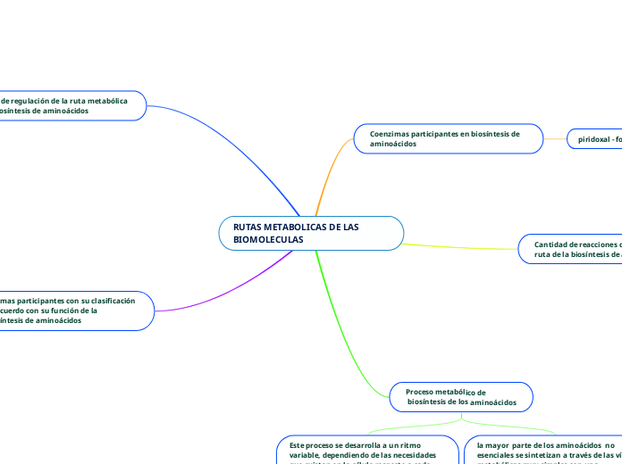 RUTAS METABOLICAS DE LAS BIOMOLECULAS