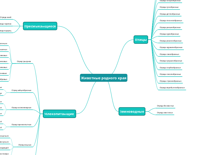 Животные родного края - Мыслительная карта