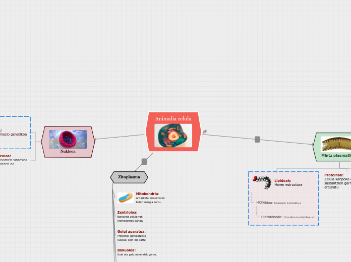 Animalia zelula - Mind Map