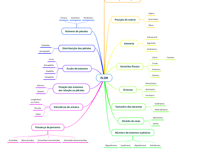 FLOR - Mapa Mental