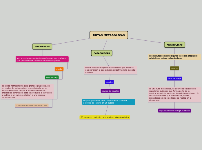 RUTAS METABOLICAS RUTAS METABOLICAS