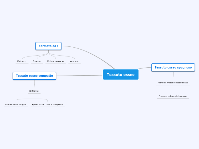 Tessuto osseo - Mappa Mentale