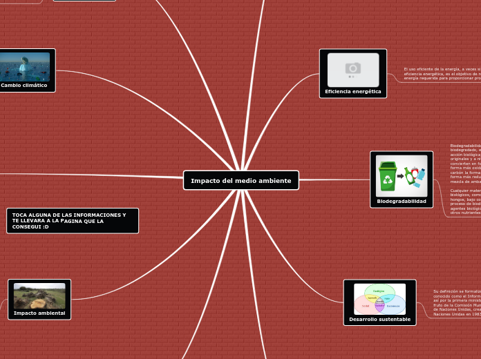 Mapa conceptual