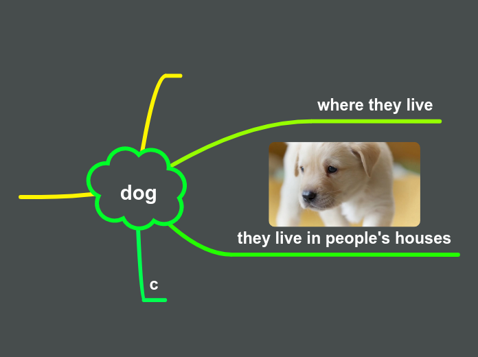 Dog - Mind Map