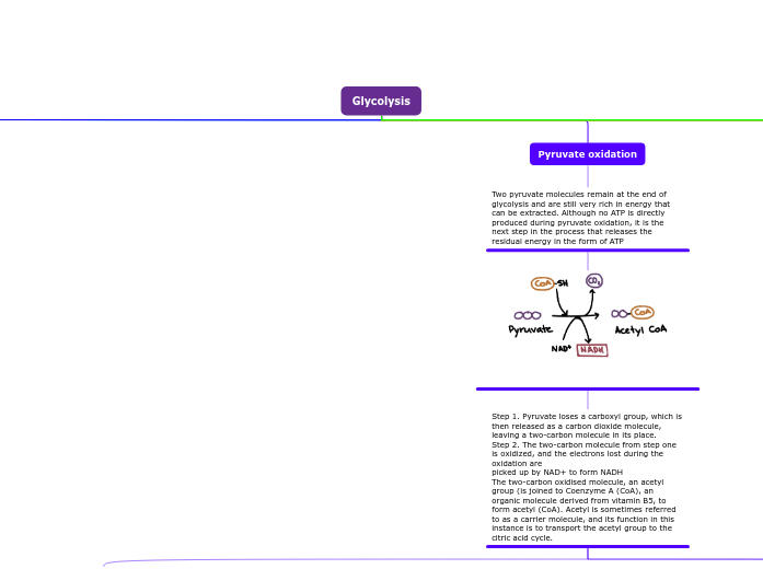 Glycolysis Glycolysis