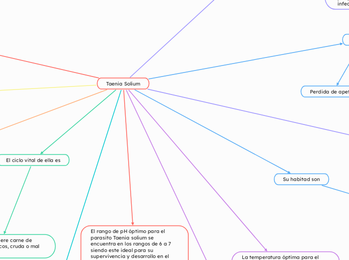 Taenia Solium - Mapa Mental