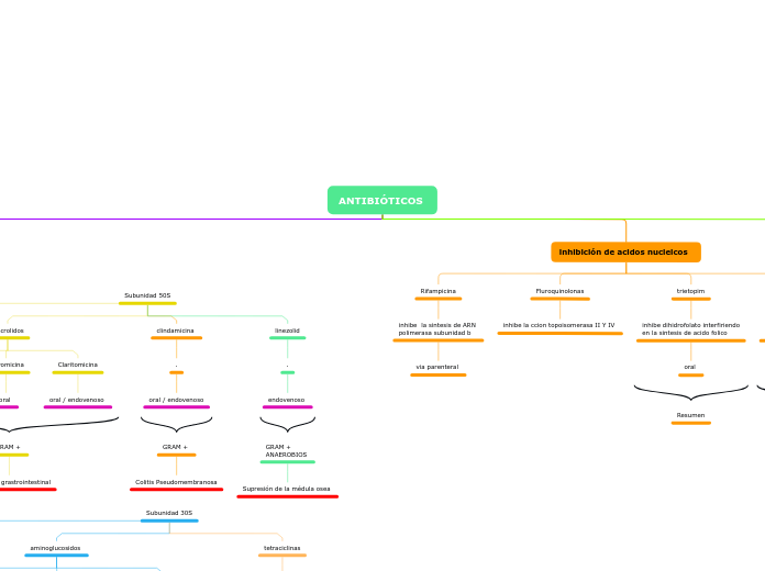 ANTIBIÓTICOS  - Mapa Mental