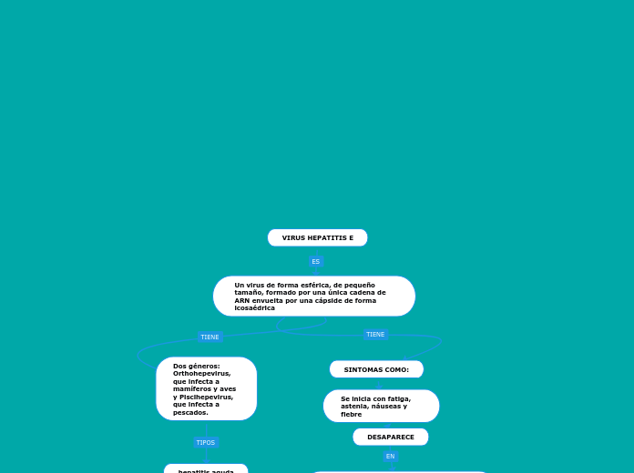 VIRUS HEPATITIS E - Mapa Mental