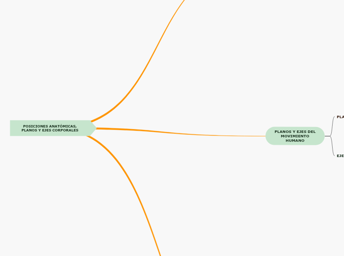 POSICIONES ANATÓMICAS, PLANOS Y EJES CORPORALES POSICIONES ANATÓMICAS, PLANOS Y EJES CORPORALES