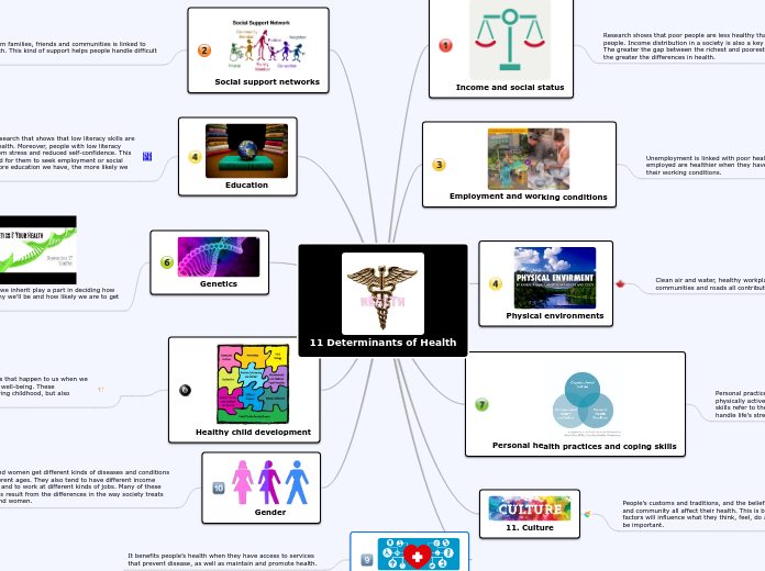 11 Determinants of Health