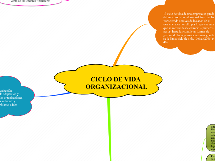 Ciclo De Vida Organizacional Mind Map