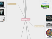 Animation R3 - Mind Map