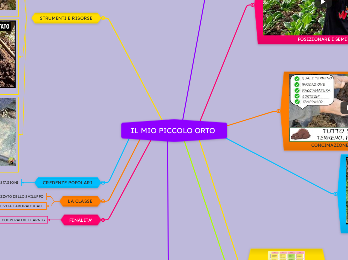 IL MIO PICCOLO ORTO 
 - Mappa Mentale