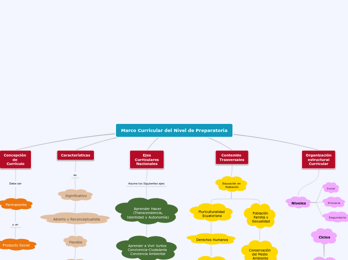 Marco Curricular del Nivel de Preparato...- Mapa Mental