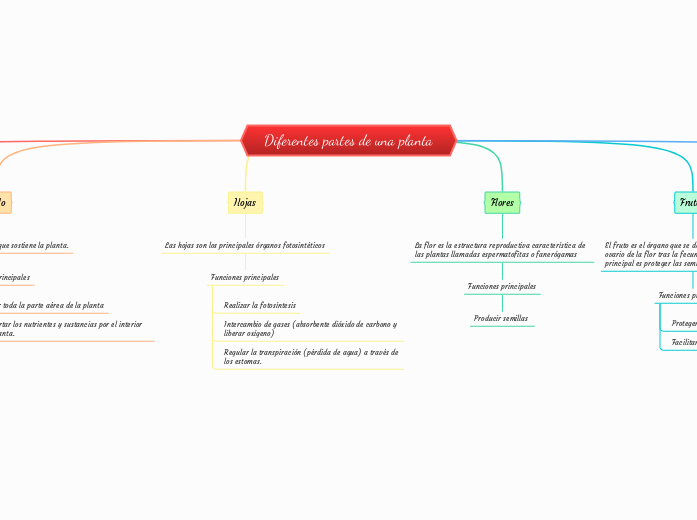Diferentes partes de una planta Diferentes partes de una planta