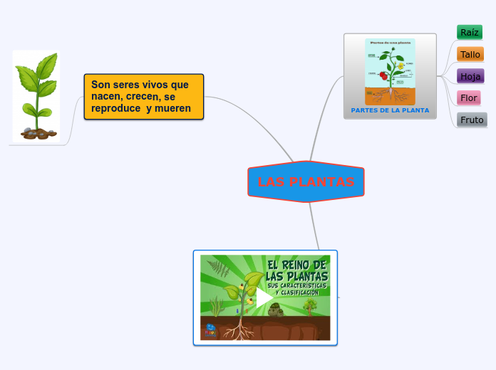 Las Plantas Mind Map 