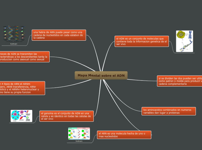 Mapa Mental sobre el ADN Mapa Mental