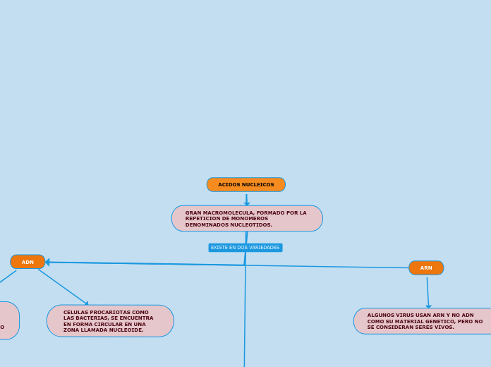 Acidos Nucleicos Mind Map 1125