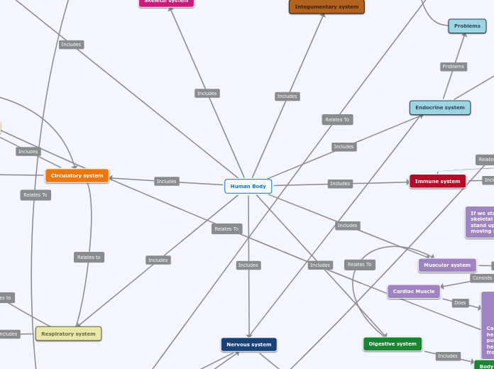 Human Body - Mind Map