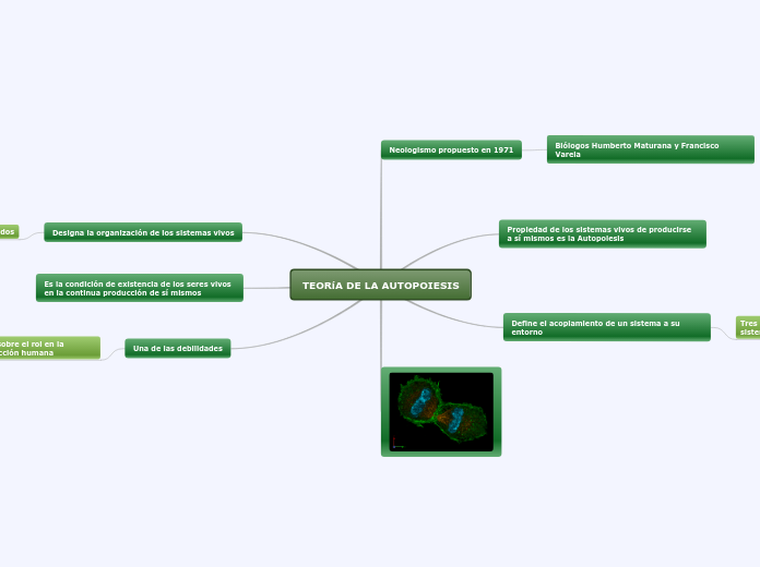 Teoria De La Autopoiesis Mapa Mental Amostra