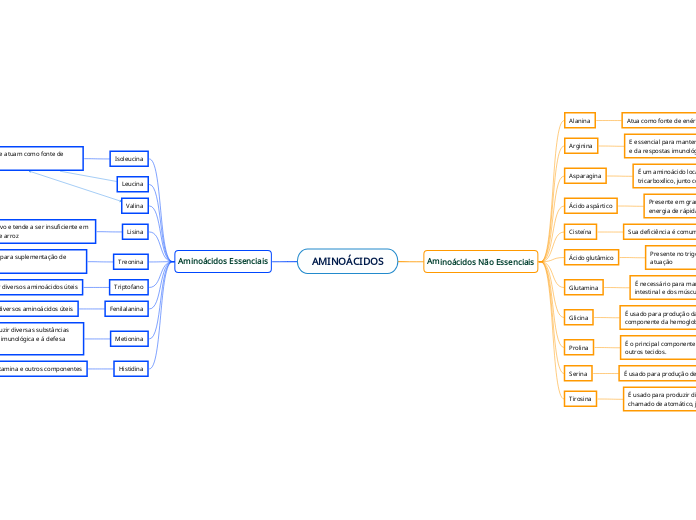 AminoÁcidos Mind Map 2496