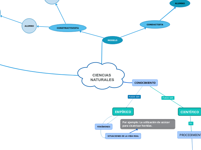 Ciencias Naturales Mapa Mental Mind Map 6757