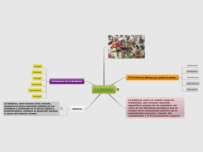 La Botánica Mind Map 5300