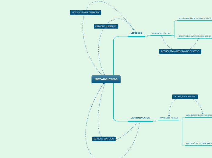 Metabolismo Mind Map 8612