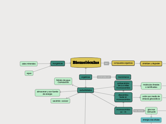 Biomoléculas Mind Map