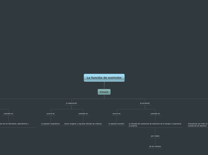 La Función De Nutrición Mind Map 2115