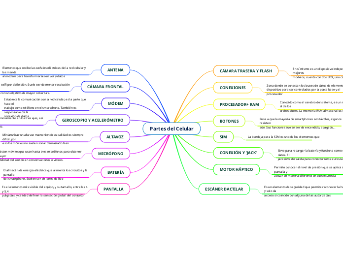 Partes Del Celular Mind Map 0537