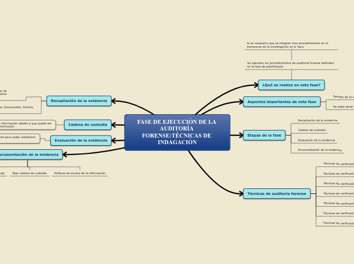 Fase De EjecuciÓn De La AuditorÍa Forense Mind Map 1901