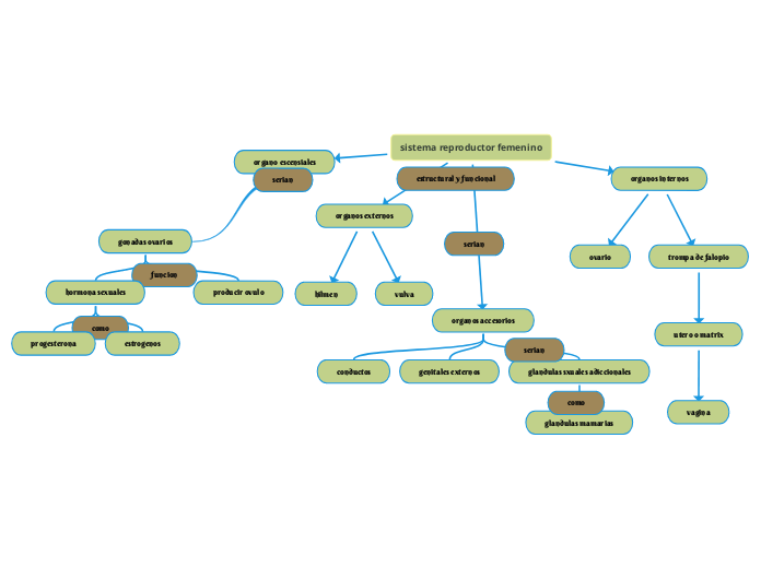 Sistema Reproductor Femenino Mind Map 3529