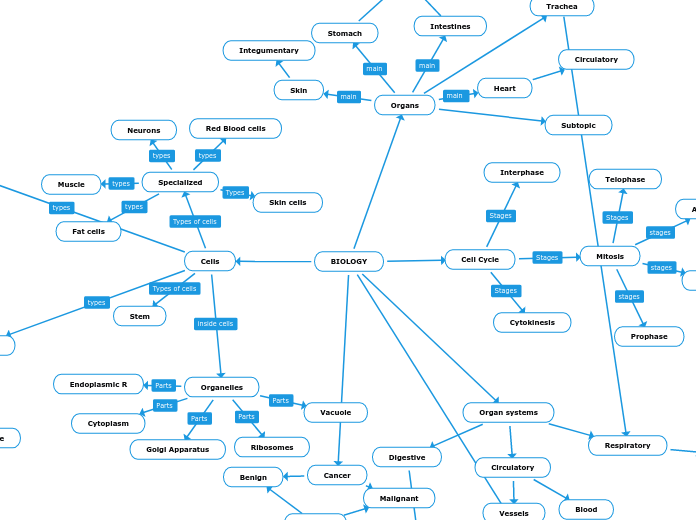 Biology Mind Map 7056